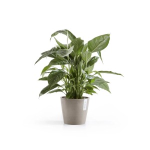 Ecopots Pflanztopf Amsterdam Braungrau 20 cm