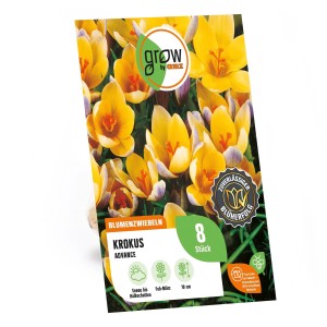 Verpackung GROW by OBI Krokus Advance Purple, 8 Stück Blumenzwiebeln mit gelben Krokusblüten.
