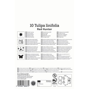 Verpackung Kiepenkerl Wildtulpe Tulipa batalinii Red Hunter mit Infos zu Standort und Eigenschaften.