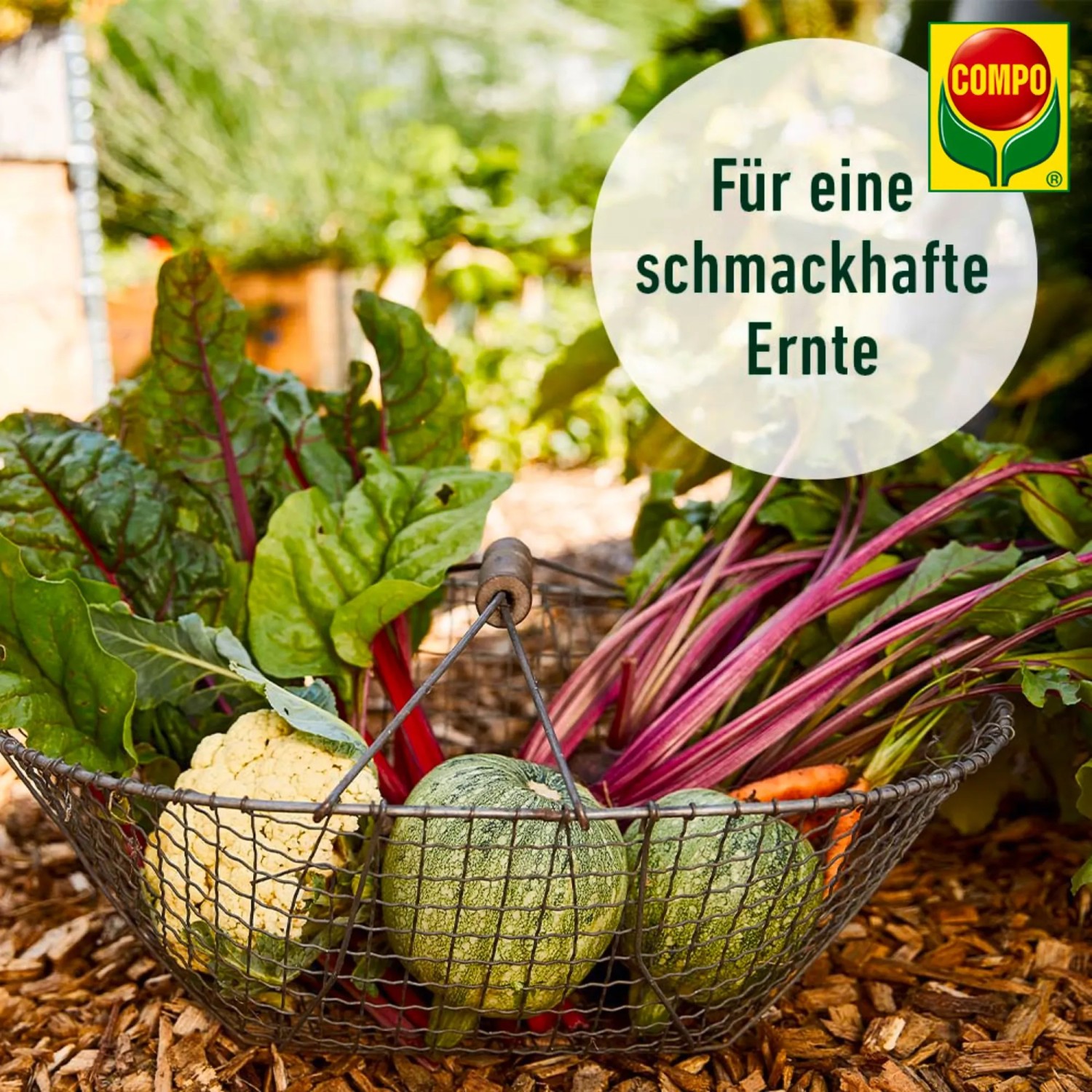 Compo Bio Organischer Gartendnger 5 kg kaufen bei OBI