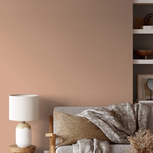 Wand in gedecktem Hellbraun mit V&CO Premium-Innenfarbe Dead Flat Matt Orange Farbton 2,5l.