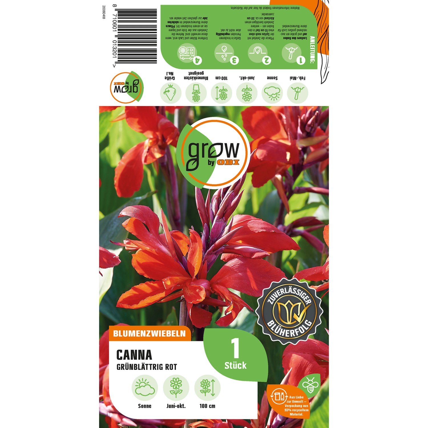 GROW by OBI Canna "Grünblättrig Rot" Höhe ca. 100 cm Canna indica