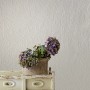 Beige Vliestapete mit modernem Streifenmuster von Marburg, geeignet für Wohn- und Schlafzimmer.