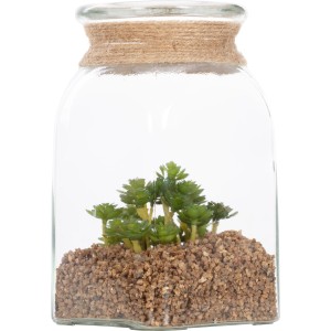 Künstliche Sukkulente im Glasgefäß, 19,5cm hoch, grüne Dekoration für Innenräume.