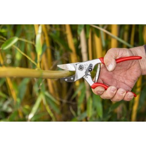 Felco Gartenschere F32 schneidet Ast: Einhand-Baumschere mit gebogenem Amboss in Aktion.