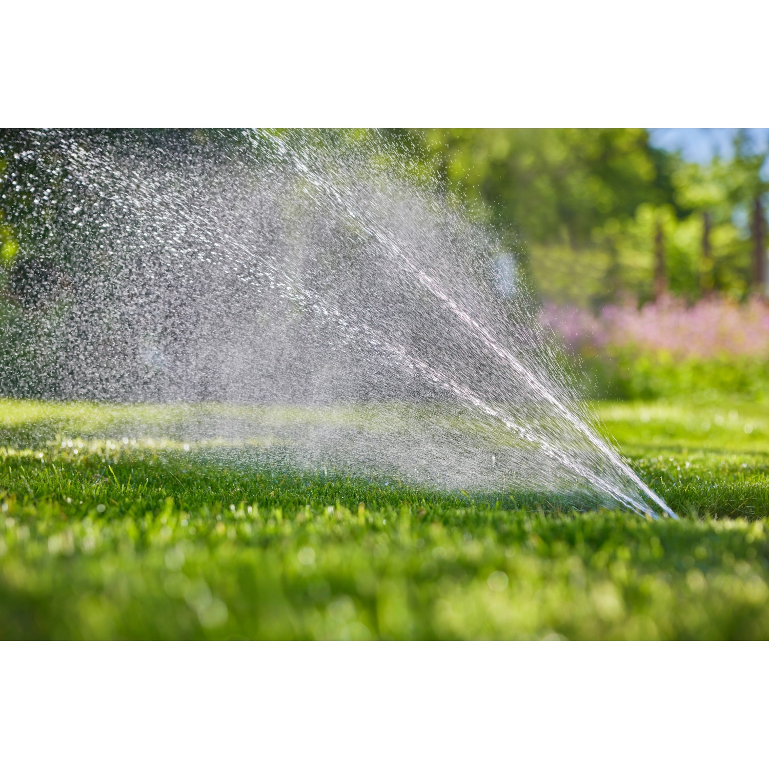 Gardena AquaPrecise Pipeline-Bewässerungssystem in Aktion: Rasenbewässerung mit feinem Sprühnebel.