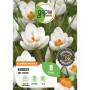 Verpackung mit 8 weißen Krokus Ard Schenk Blumenzwiebeln von GROW by OBI.