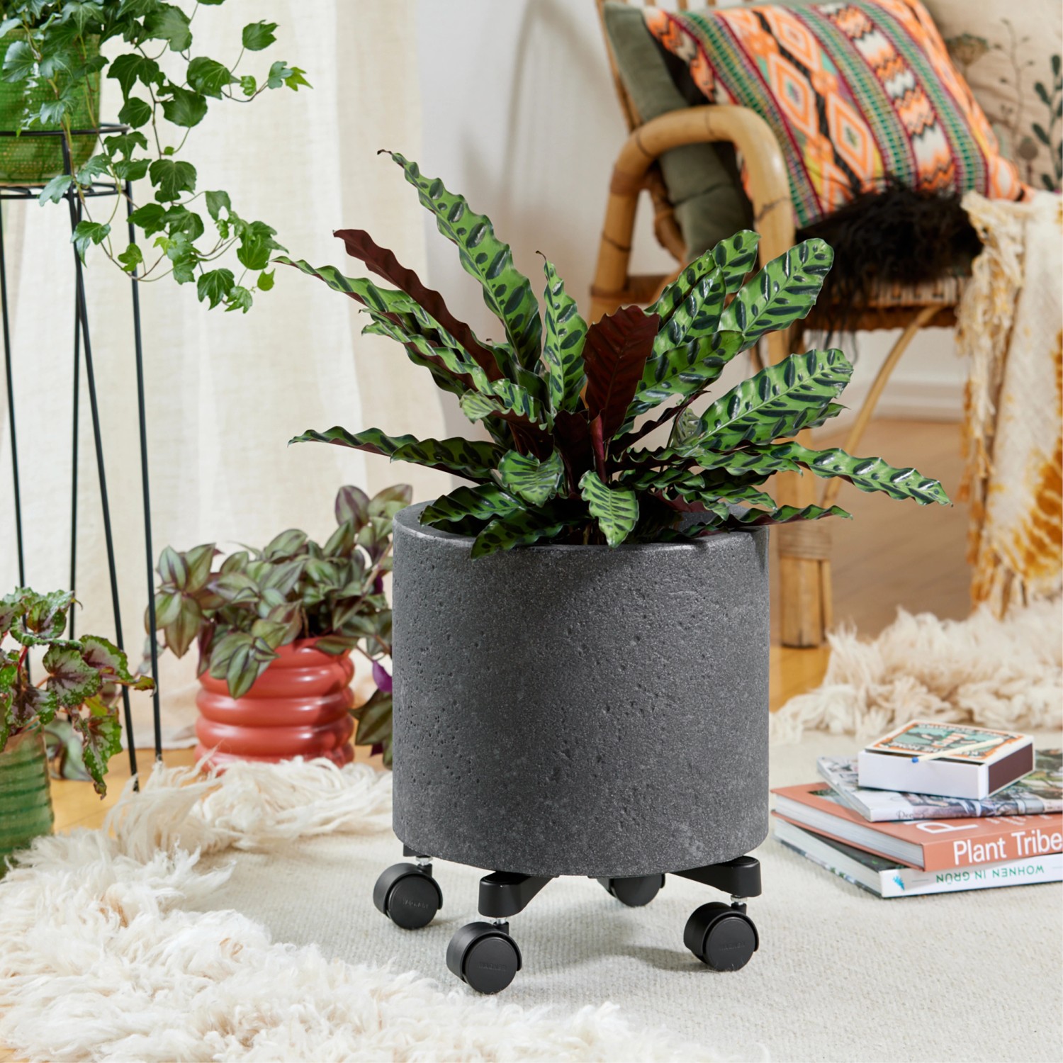 Wagner design Pflanzenroller GH 0916 Ø 30 cm x 8 cm Schwarz_4