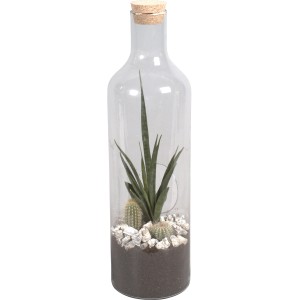 Green Bottle® Glasflasche mit Kakteen-Mix, Topf ca. 15cm. Kakteen in Glasflasche mit Korken.