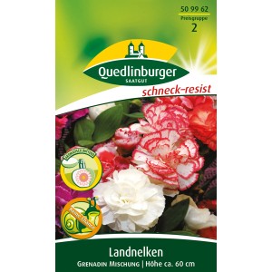 Quedlinburger Landnelke 'Grenadin Mischung' Blumensamen mit roten, weißen und pinken Blüten.