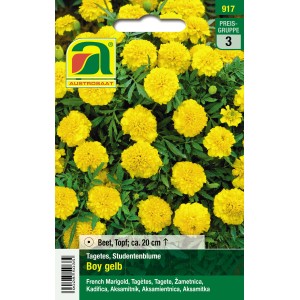 Austrosaat Studentenblume Boy Gelb: Saatgut mit leuchtend gelben Blüten für Beet und Topf.