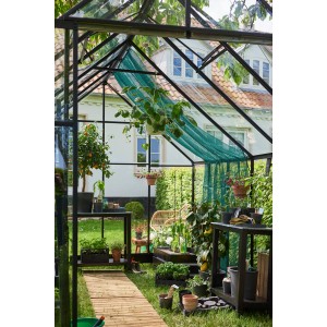 Halls Gewächshaus Qube+ 812, 9,9 m², schwarz, mit Pflanzen und Gartenzubehör im Inneren.