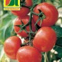 Saatgutpackung Tomate Montfavet 63-5 F1 von Austrosaat mit reifen, roten Tomaten am Strauch.