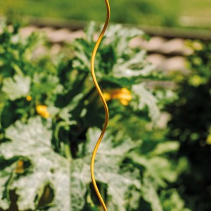 Bellissa Tomaten Spirale Colorata, 110 cm, honigfarben, vor grünem Hintergrund.