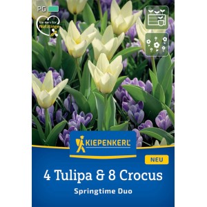 Kiepenkerl Blumenzwiebel Duo-Mix Springtime mit weißen Tulpen und lila Krokussen.