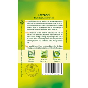 Quedlinburger Lavendel Samen: Aromatische Blumensamen für Garten und Balkon.