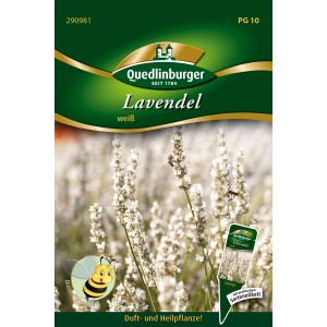 Quedlinburger Lavendel ''Ellagance Snow'' Weiß, Kräutersamen. Packung mit weiß blühendem Lavendel.