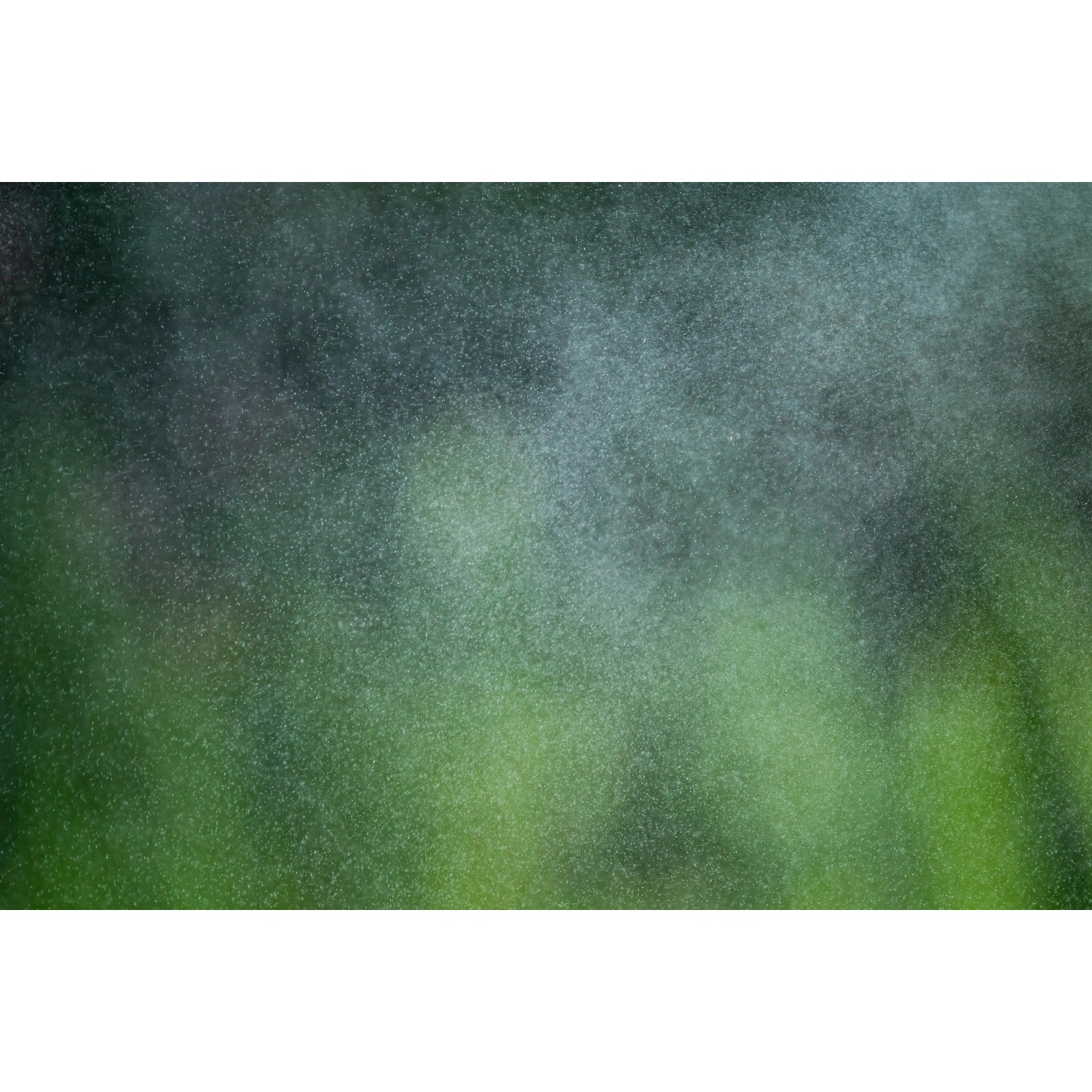 Elgo Dunstkühlung im Einsatz: Feiner Nebel zur Abkühlung und Erhöhung der Luftfeuchtigkeit.