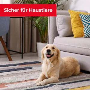 Hund liegt entspannt im Wohnzimmer. Protect Home Rattenfalle ist sicher für Haustiere.