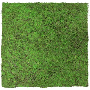 Jangal Wandpaneel Modular Wall Forest Green Ancient Tree, 52x52cm, grüne Wanddekoration.