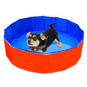 Hund im Outdoor-Pool (80x20cm). Faltbarer Pool für Hunde, rot/blau.
