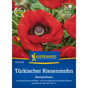 Kiepenkerl Türkischer Riesenmohn Olympiafeuer mit leuchtend roten Blüten.