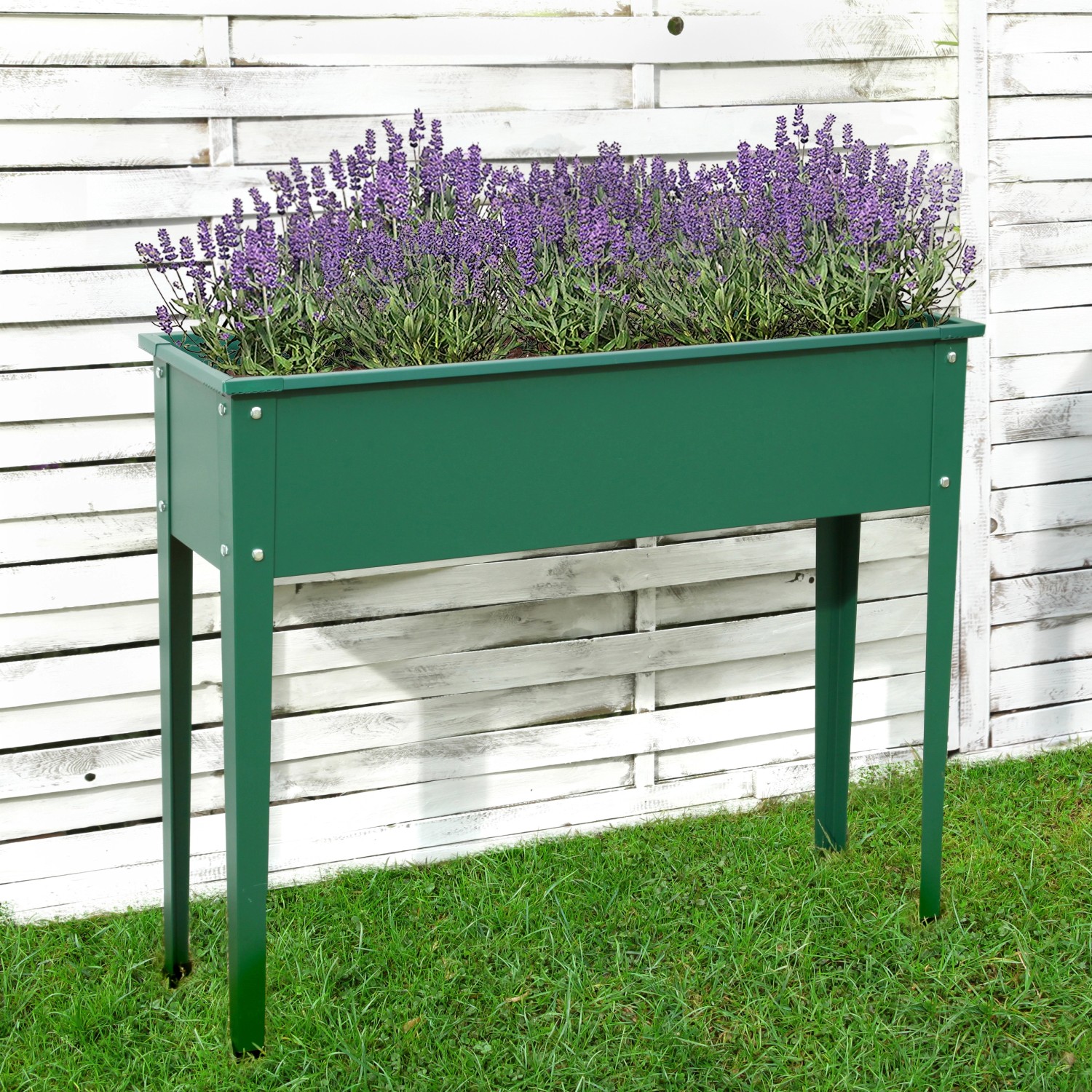 Floraworld Hochbeet Season, grün, 100x30x80cm, bepflanzt mit Lavendel, vor weißem Holzzaun.