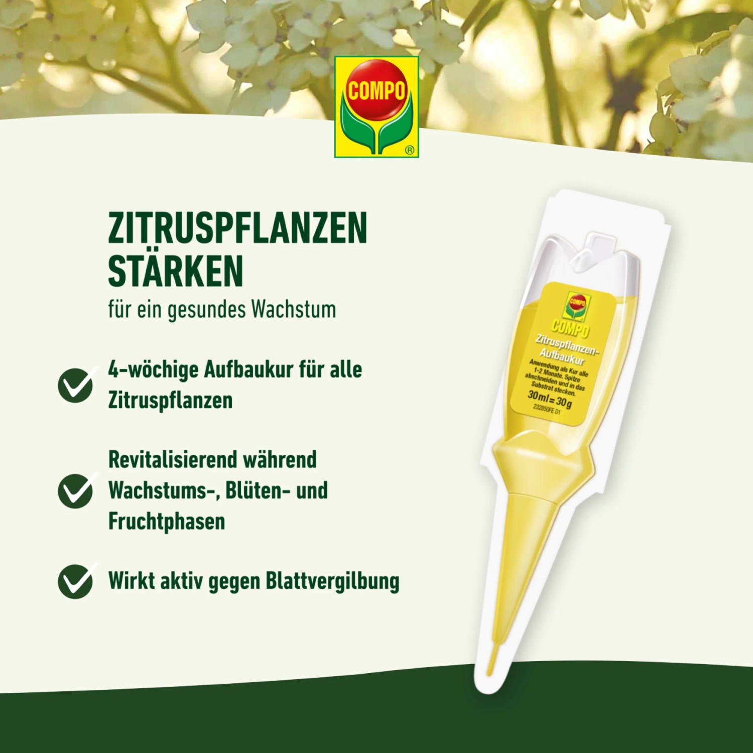 Compo Zitruspflanzen Aufbaukur 30 ml kaufen bei OBI