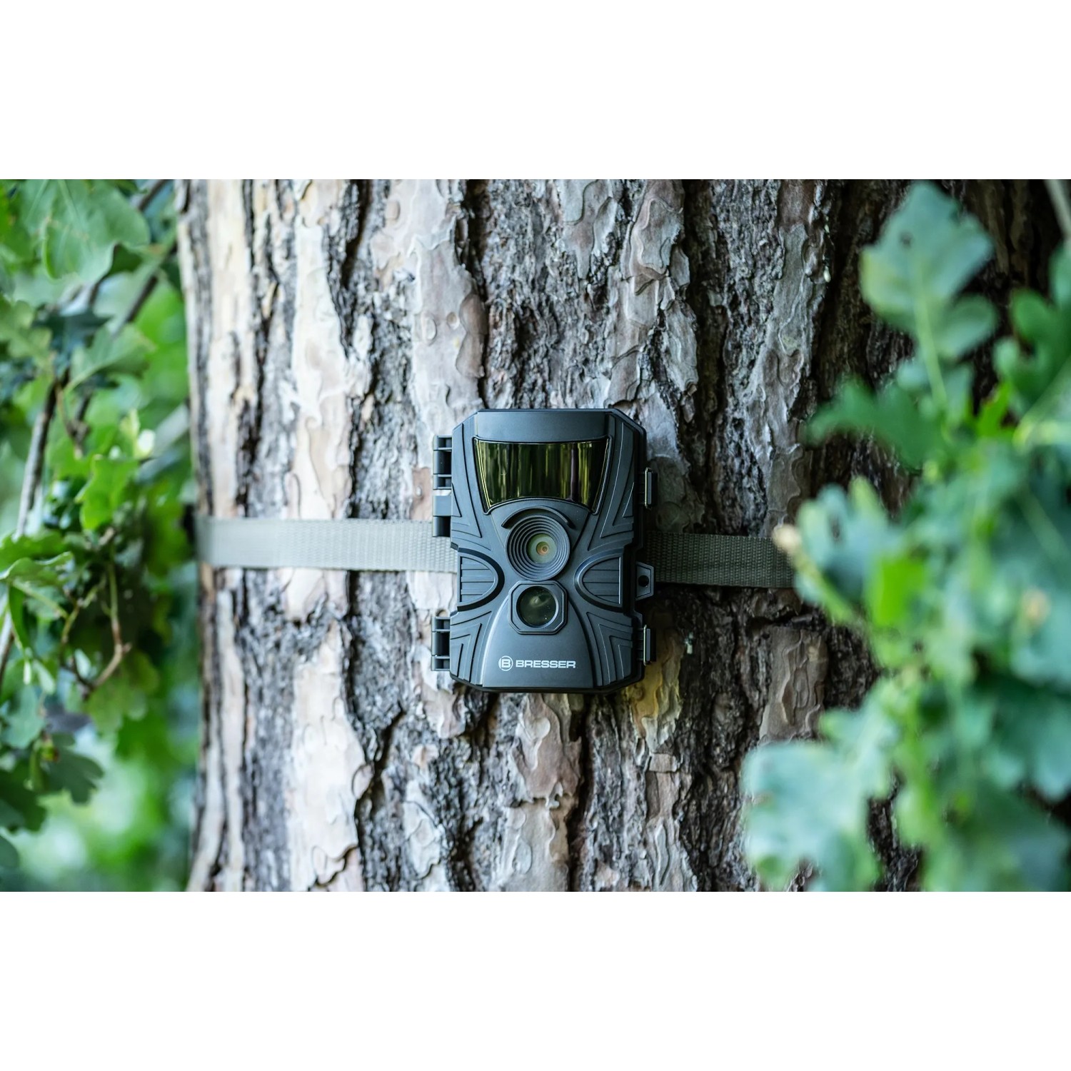 Bresser Wildkamera 5-20 MP, am Baum befestigt. Ideal zur Tierbeobachtung und Überwachung.