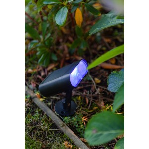 Schwarze Lutec LED Solar-Wegeleuchte Ginbo mit blauem Licht im Garten.
