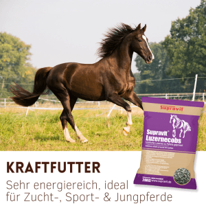 Supravit Luzernecobs Pferdefutter: Lila Beutel mit Pellets. Braunes Pferd galoppiert auf Wiese. Energiereiches Kraftfutter.