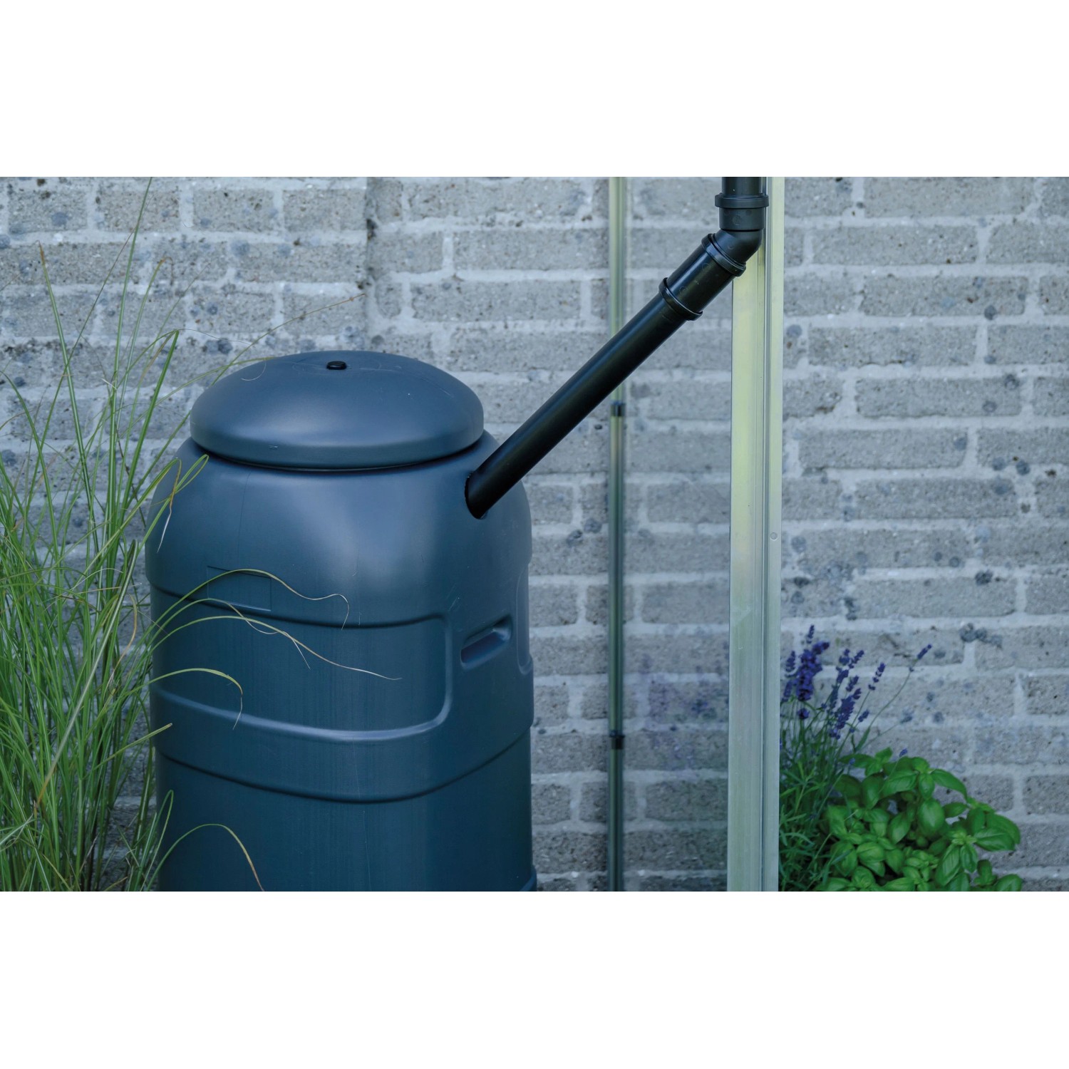 Halls Regentonne inkl. Ständer 35 cm x 35 cm x 135 cm 100 l Schwarz kaufen bei OBI