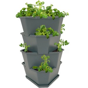 Anthrazitfarbenes Gusta Garden Anzuchtsgefäß Paul Potato, 56 L, mit Kartoffelpflanzen in Etagen.
