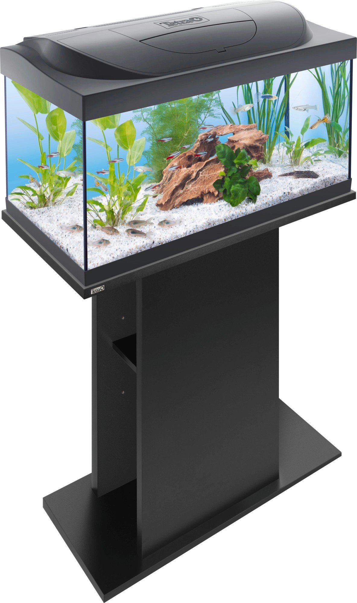Tetra Starter Line Aquarium LED 54L kaufen bei OBI