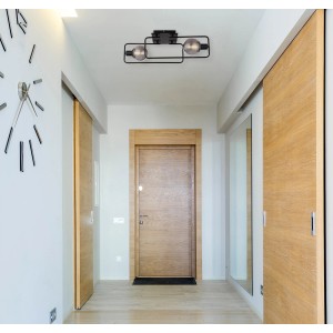 Moderne, 2-flammige Globo Deckenleuchte Blama in Schwarz matt mit Rauchglas-Schirmen.