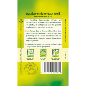 Packung Stauden-Schleierkraut Weiß Samen, mehrjährige, reichblühende Zier- und Schnittstaude.