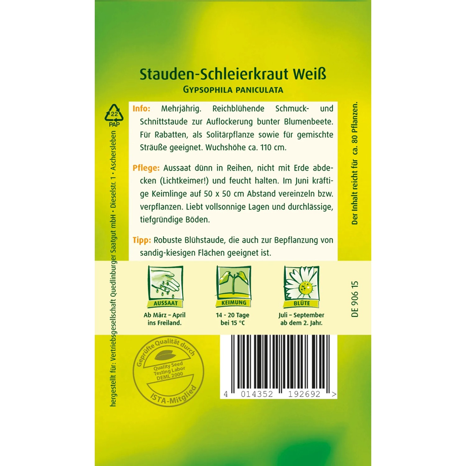 Packung Stauden-Schleierkraut Weiß Samen, mehrjährige, reichblühende Zier- und Schnittstaude.