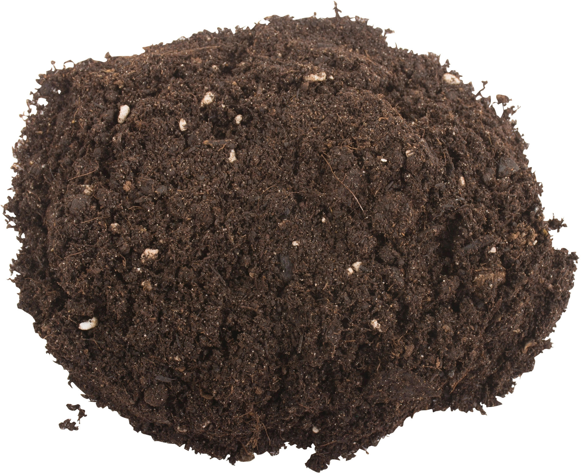 Compo Sana QualitätsBlumenerde 1 x 20 l kaufen bei OBI
