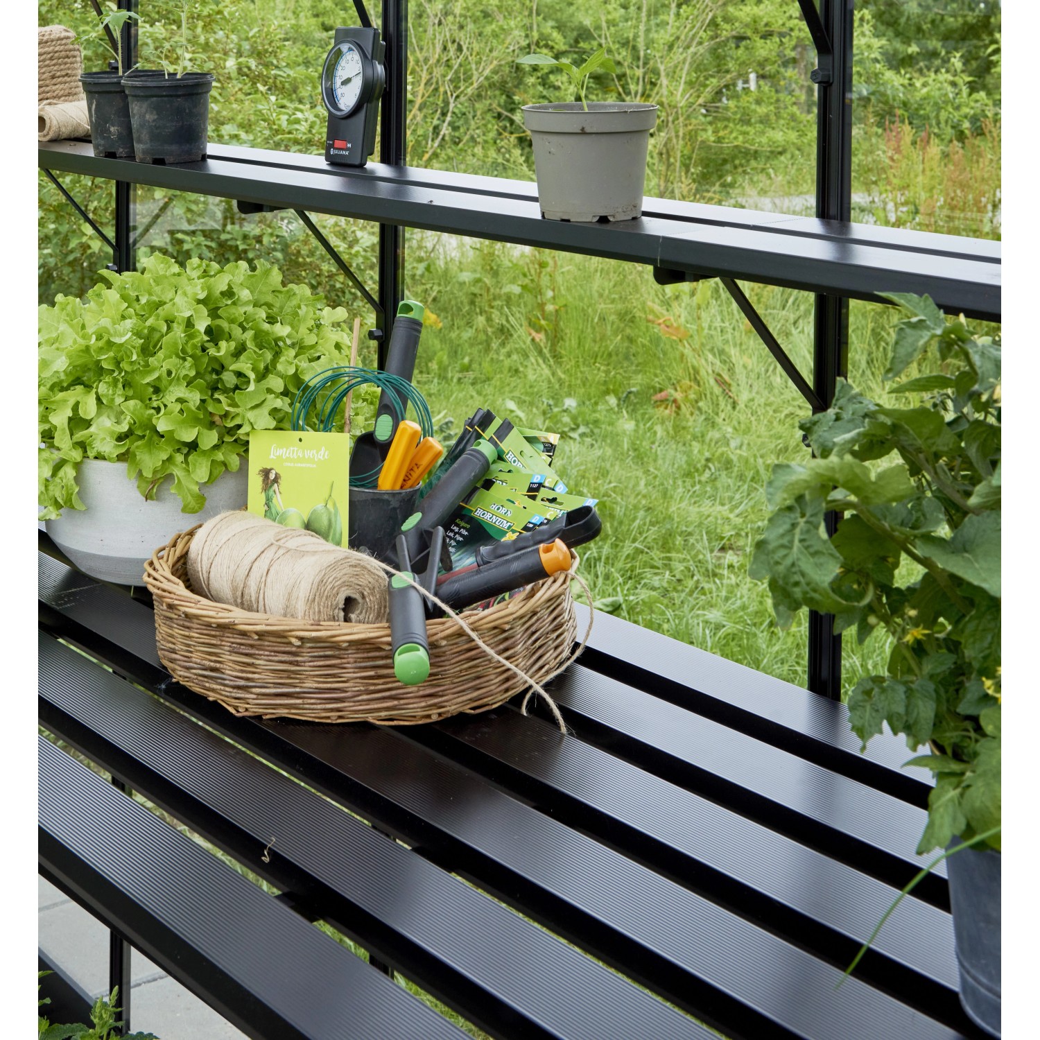 Schwarzes Halls Lamellenregal Cotswold im Gewächshaus mit Pflanzen und Gartenzubehör.