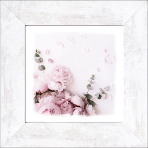 Bild mit Rahmen Beauty Delicate Flowers I 44 cm x 44 cm