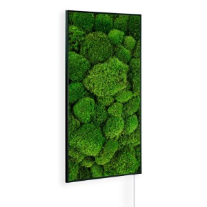 Könighaus Infrarotheizung Moos Ambient Edition 450 W Schwarz