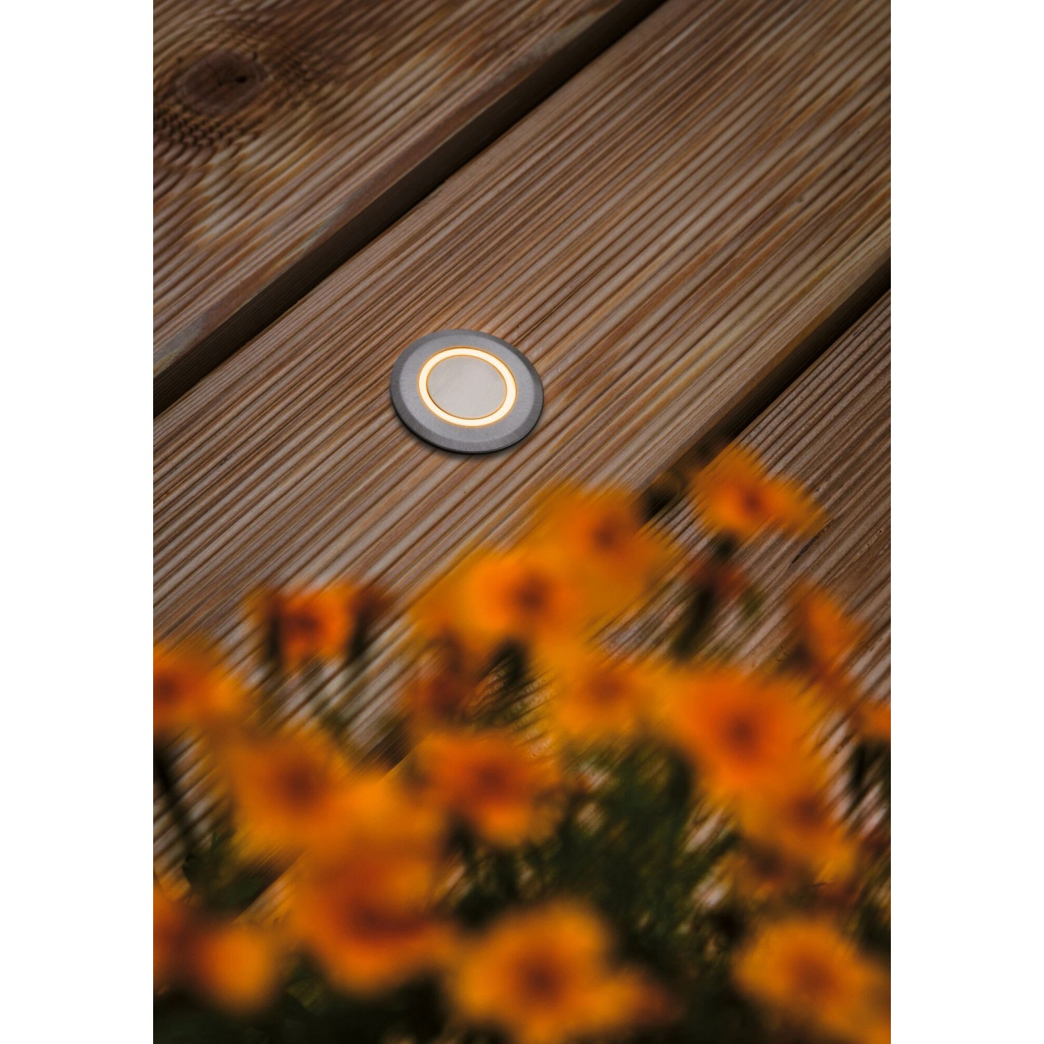Runder Paulmann LED Bodeneinbaustrahler auf Holzterrasse mit Blumen, insektenfreundlich.