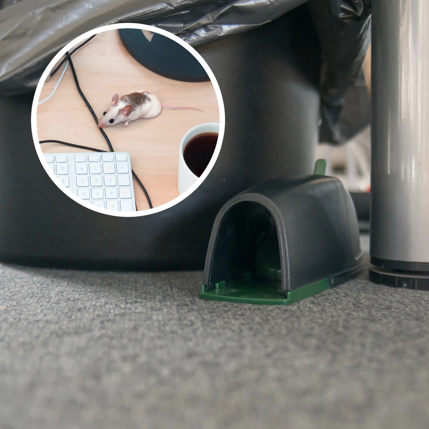 Gardigo MausWegFalle kaufen bei OBI