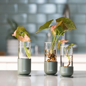 Fiskars Anzuchtglas-Set, 3-teilig, grün, mit Stecklingen in Glasgefäßen auf Metallständern.