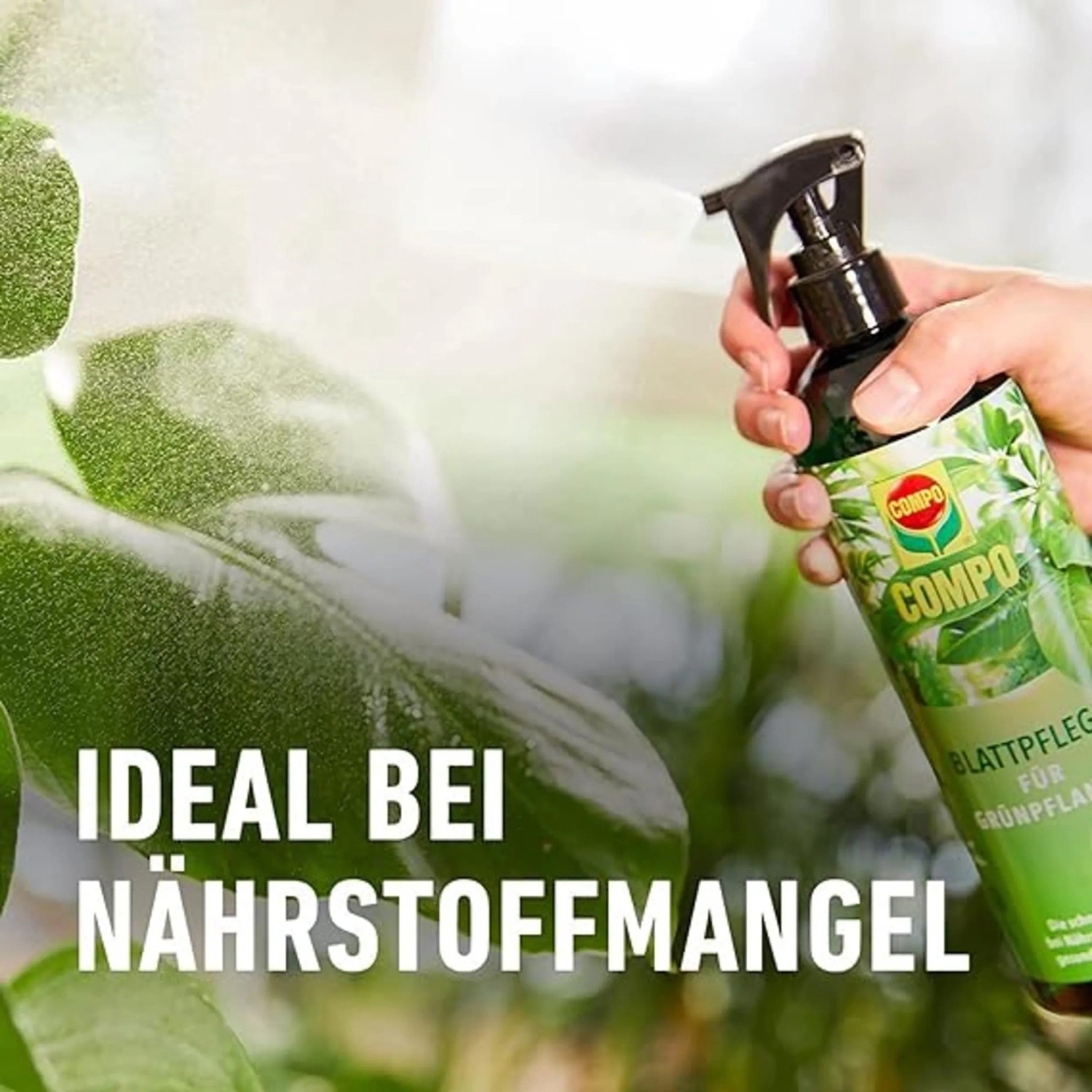 compo kaufen Compo BIO Granuplant HYDROKORRELS 5L  BYDOO