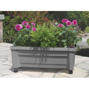 Grauer KHW Pflanzkasten Calypso mit Bewässerungssystem und Rollen, bepflanzt mit Blumen und Farn.