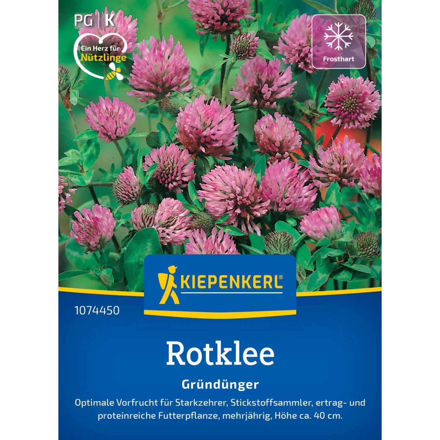 mistelzweig knstlich kaufen Mistelzweige  TOM FLOWERS