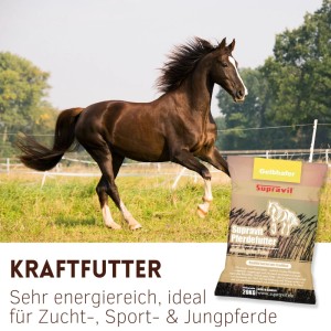 Braunes Pferd galoppiert auf grüner Wiese, daneben Supravit Futterhafer für Pferde. Kraftfutter für Energie & Ausdauer.