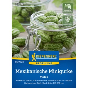 Kiepenkerl Mexikanische Minigurke "Mateo"