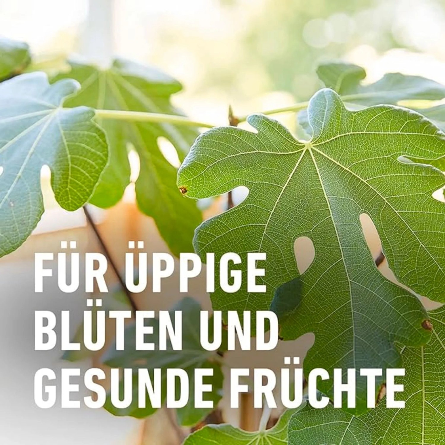 bienen mischung saatgut Bienenweide Saatgut: Nahrung für Bienen und Hummeln – Imkado main image 0